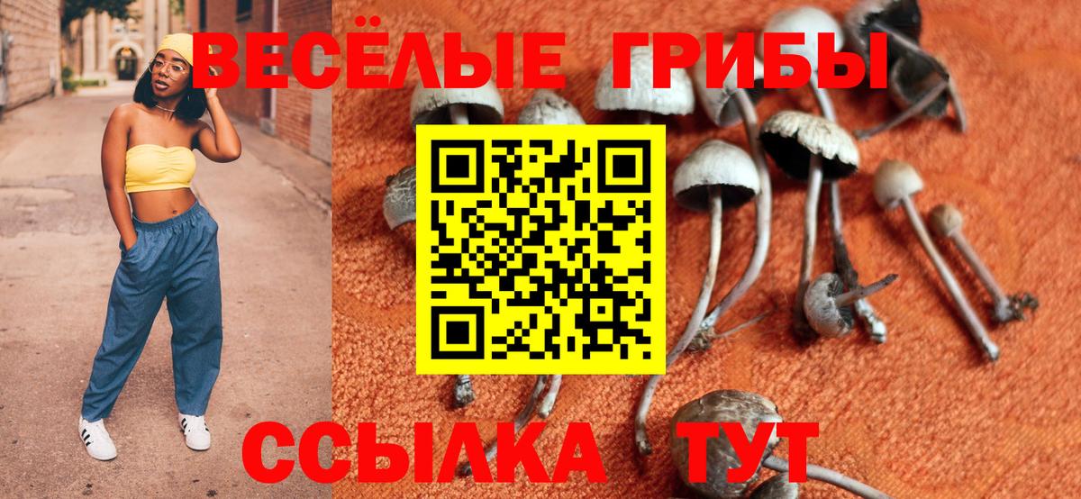 Псилоцибиновые грибы Psilocybine cubensis Волгоград