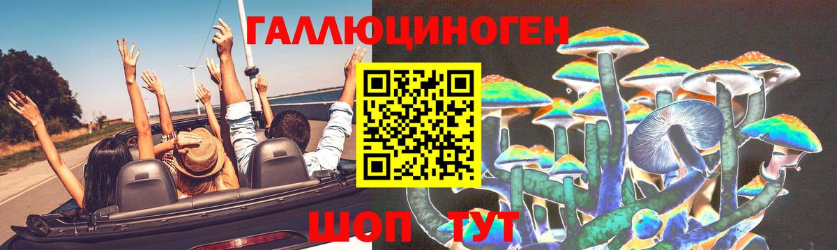 Псилоцибиновые грибы мицелий  Вход с VPN  Волгоград  Галлюциногенные грибы Magic Shrooms 