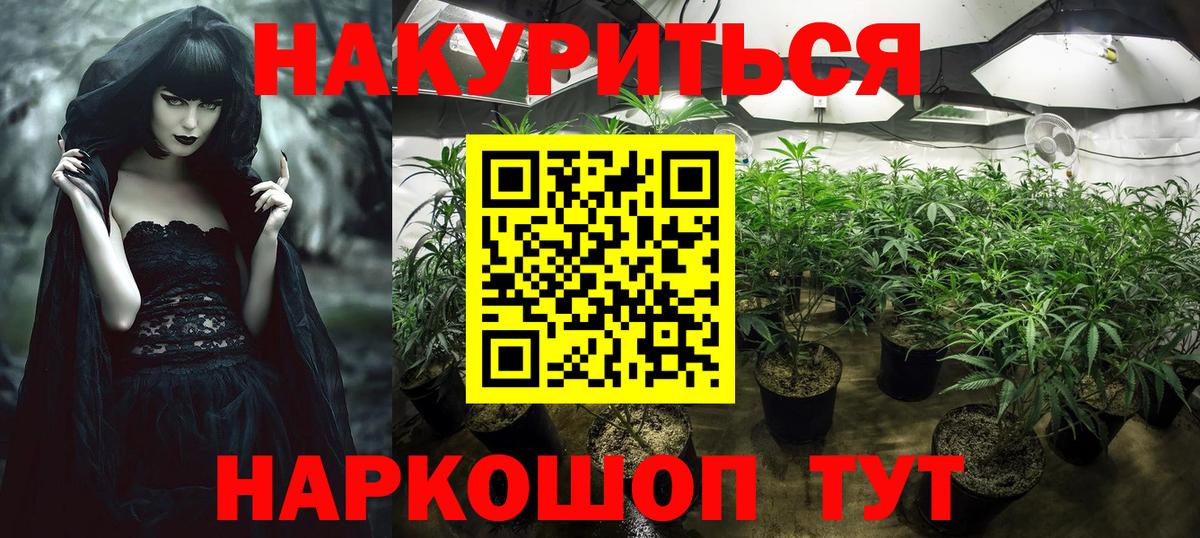 Бошки Шишки THC 21% Волгоград